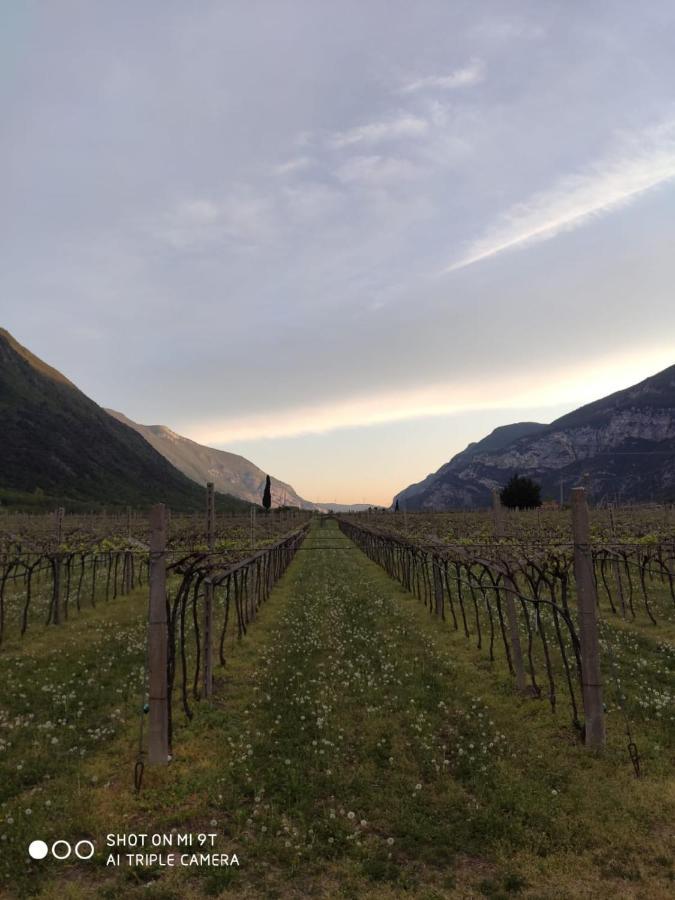 Agriturismo Revena Brentino Belluno Extérieur photo