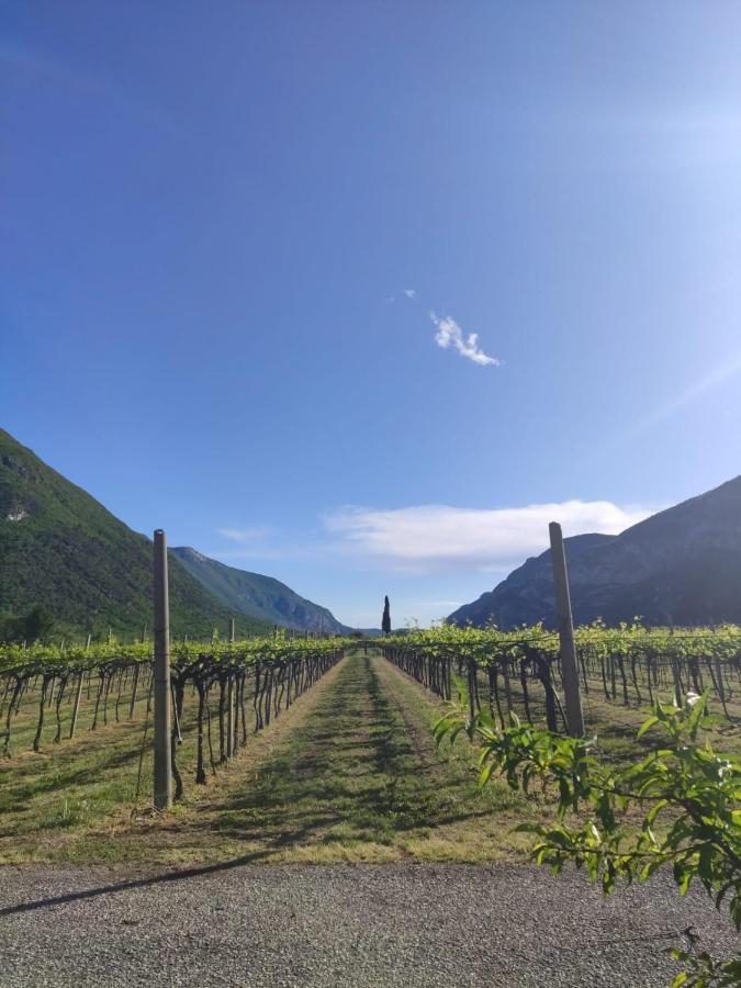 Agriturismo Revena Brentino Belluno Extérieur photo