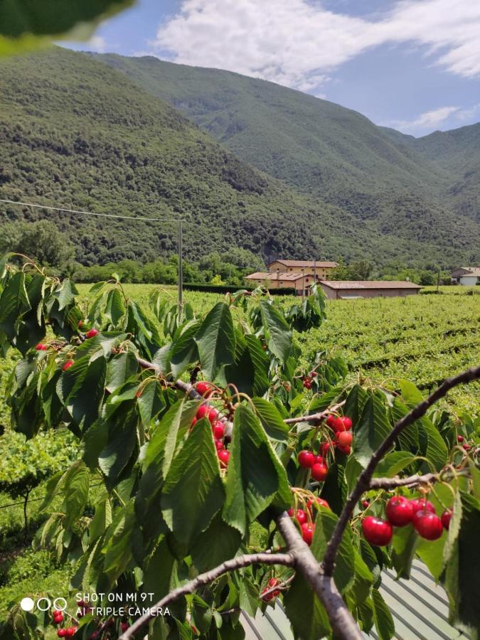 Agriturismo Revena Brentino Belluno Extérieur photo