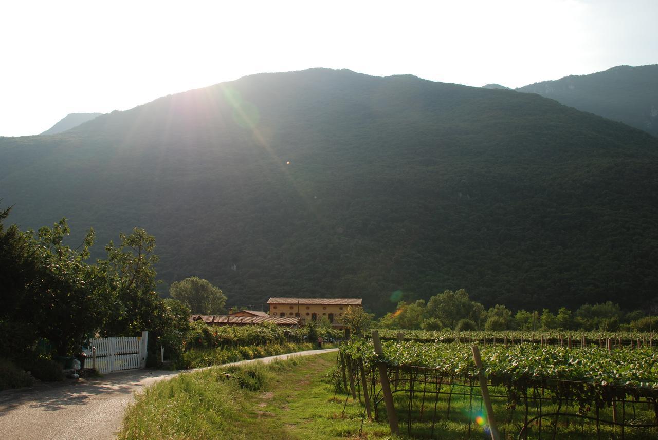 Agriturismo Revena Brentino Belluno Extérieur photo
